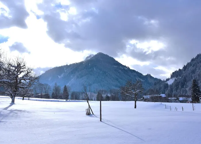 Daxer By Interhome Appartement Kirchberg in Tirol
