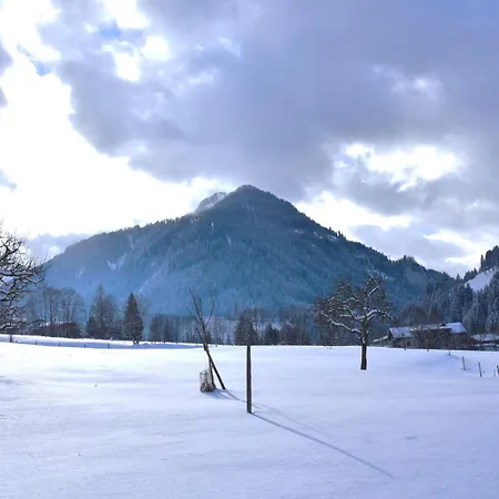 Daxer By Interhome Lejlighed Kirchberg in Tirol